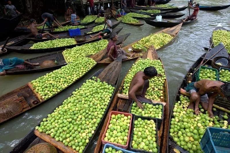 The Venice of Bengal in Motion l ভাসমান বাজার 