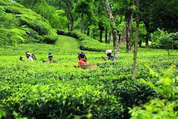 Eternal Bengal, Sylhet l আবহমান  বাংলা